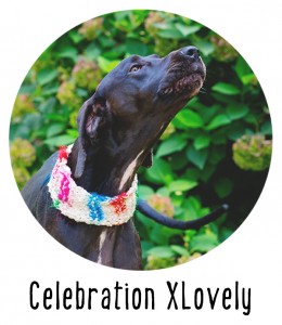 Celebration Dog Cowl Knitting Pattern from Pattymac Knits