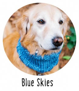 Blue Sky Dog Cowl Ready to Wear from Pattymac Knits