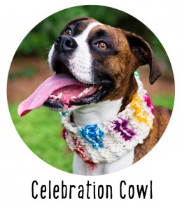 easy knitting pattern for dogs, perfect for weddings or other dress up events