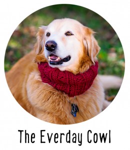 Everyday Dog Cowl Ready to Wear from Pattymac Knits