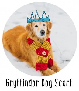 Gryffindor Dog Scarf Ready to Wear from Pattymac Knits