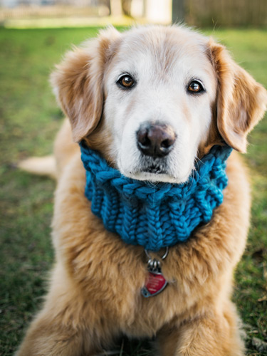 Knitting pattern from Pattymac Knits